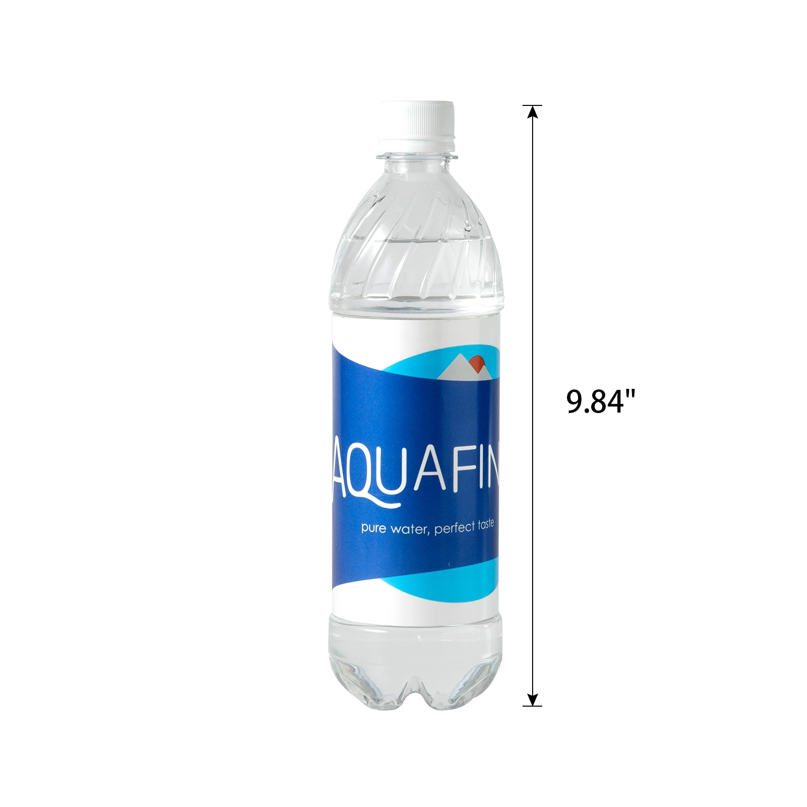 Aquafina Water Bottle Diversion Safe Can Stash Hidden Security