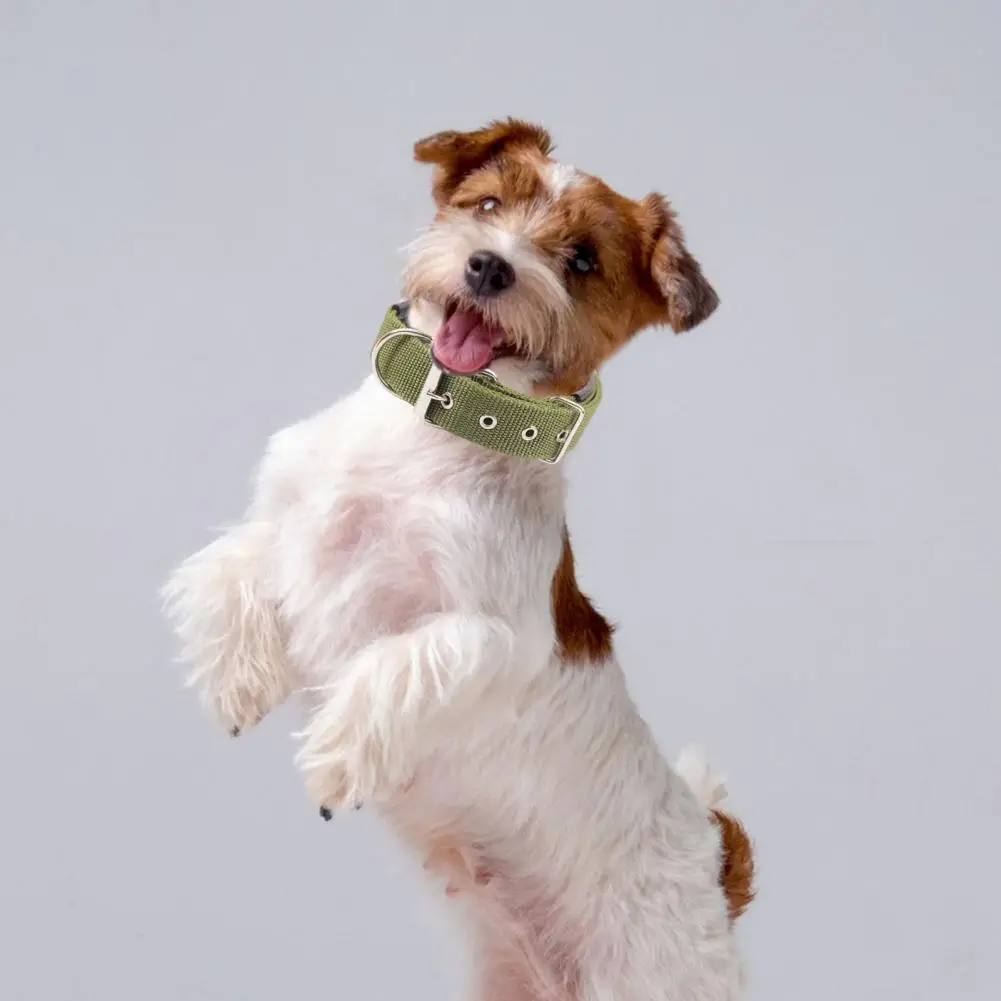 Dog Collars Nylon Adjustable Dog Neck Circle Long-lasting Pet - Image 2
