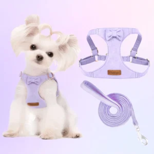 Trendy Premium Suede Dog Harness Leash Set -small Dog